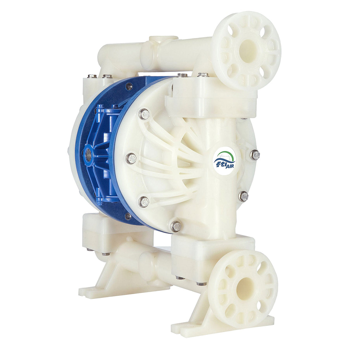 FTI Air Model FT10 PVDF 1 in. Non-Metallic Diaphragm Pump