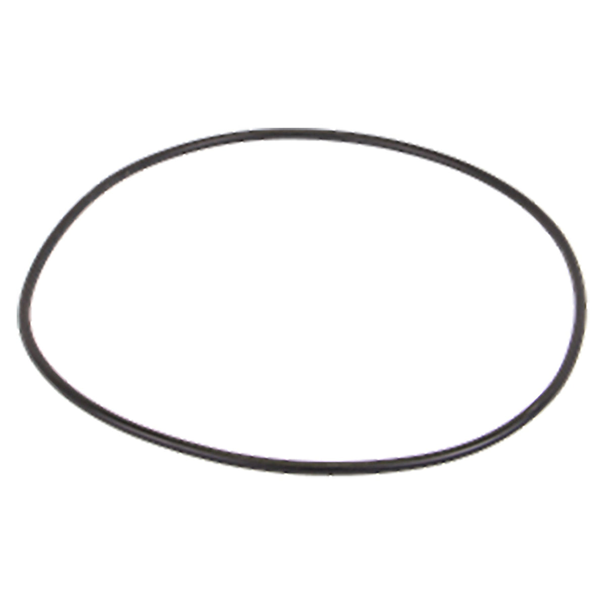 Banjo 2 and 3 in. Pump Body EPDM O-Ring