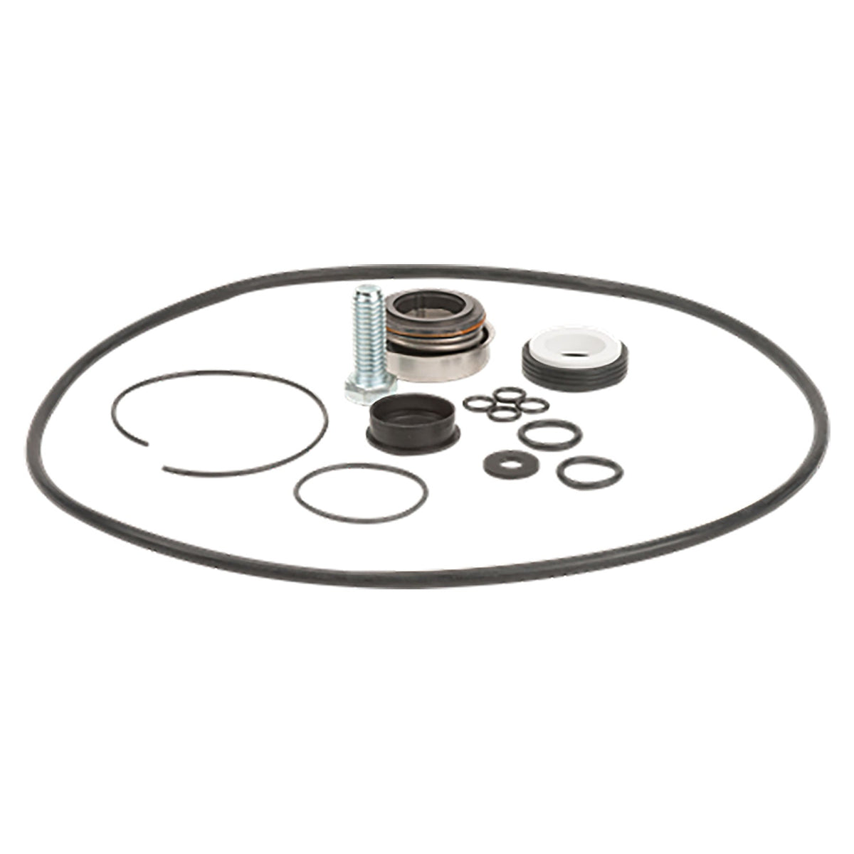Banjo 2 in. Poly Pump O-Ring Seal Kit
