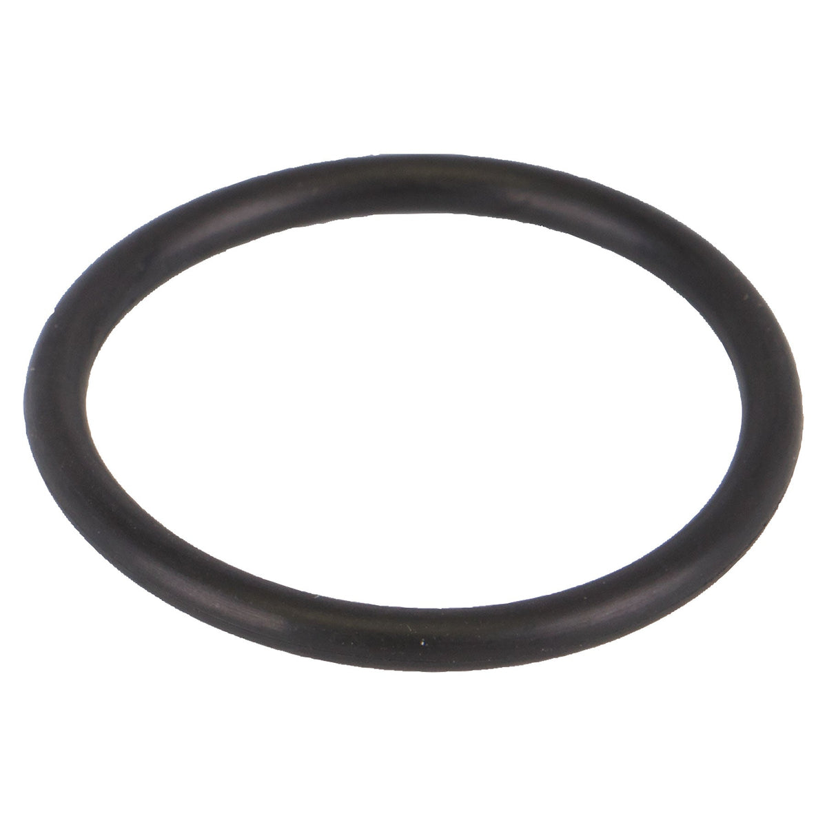 Banjo 3/4 in. Line Strainer EPDM Gasket