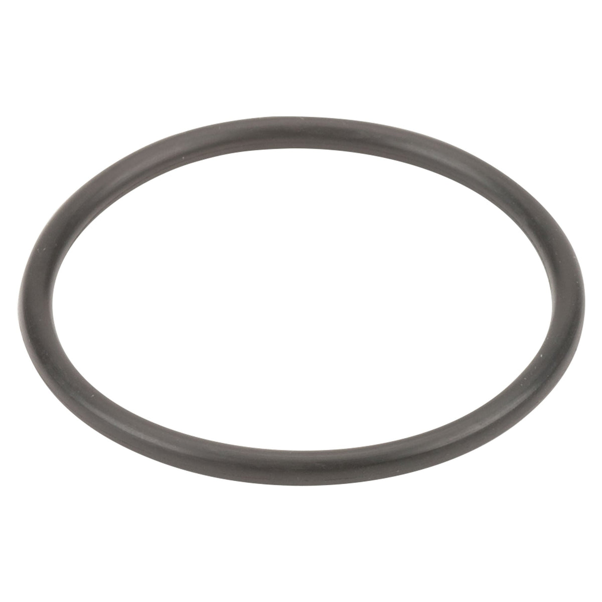 Banjo 3/4 and 1 in. Poly T Strainer EPDM Gasket