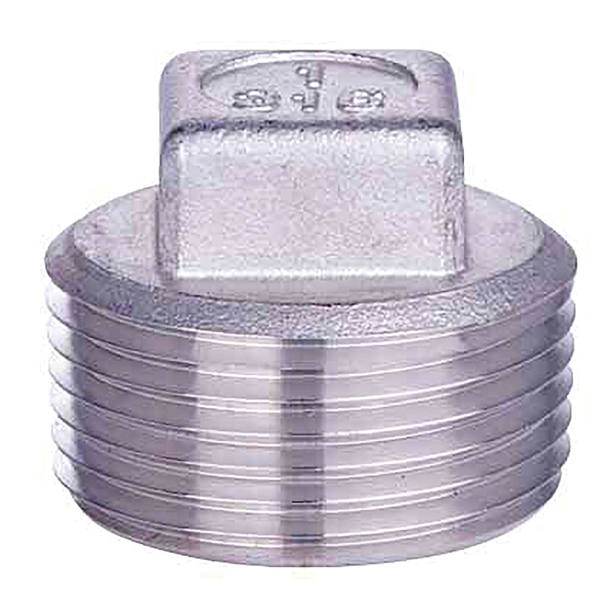 Ta Chen 304 & 316 Stainless Steel, Square Head Plug, Threaded, 1/4 in. to 2 in. Sizes