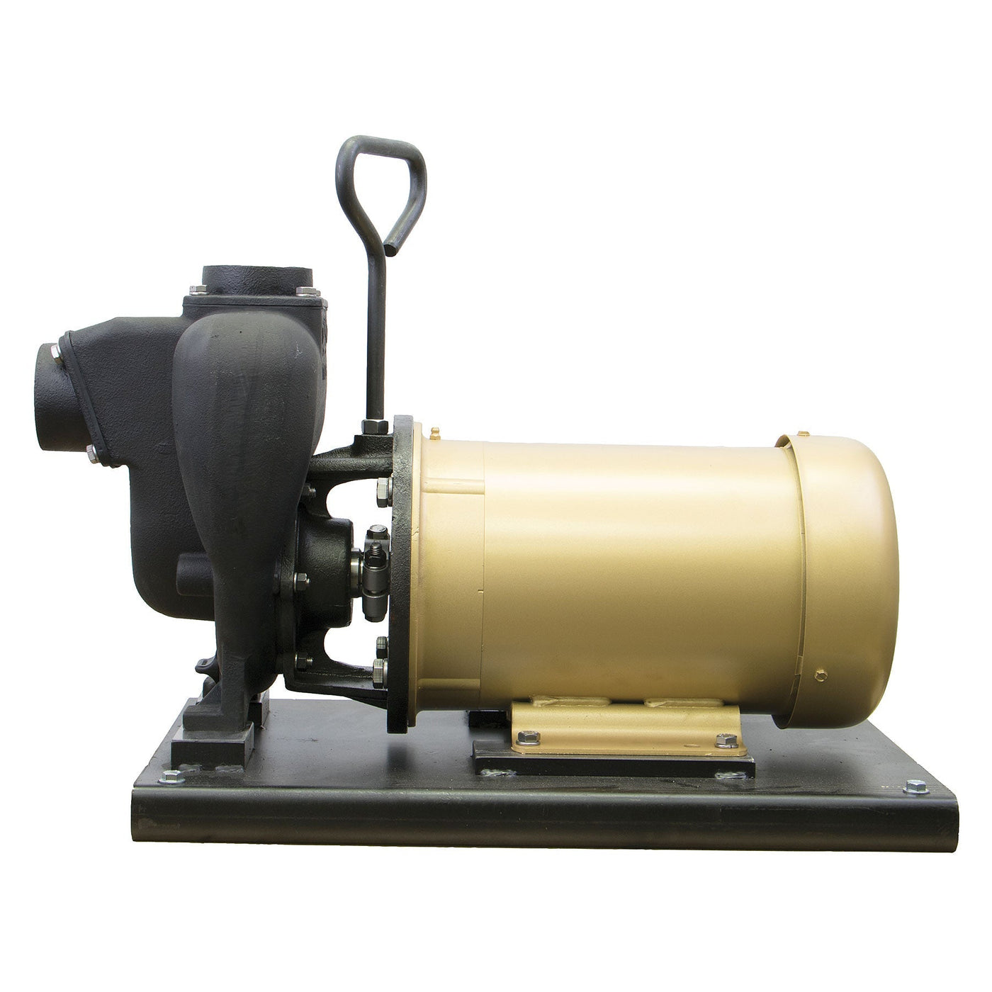 Banjo 234PIE51 2 in. Cast Iron Pump with Electrical Motor