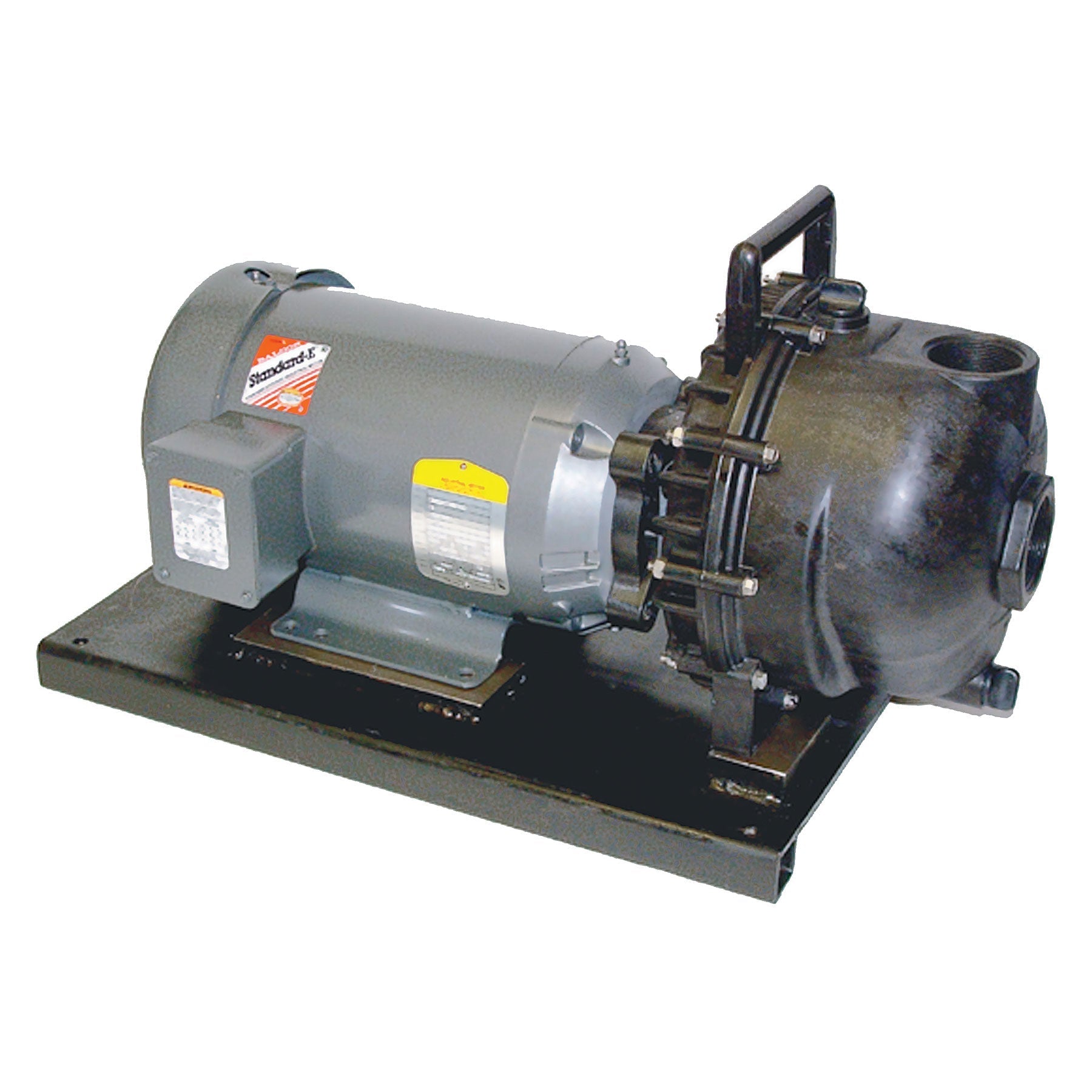 Banjo 234PPE51 2 in. Poly Pump with Electric Motor
